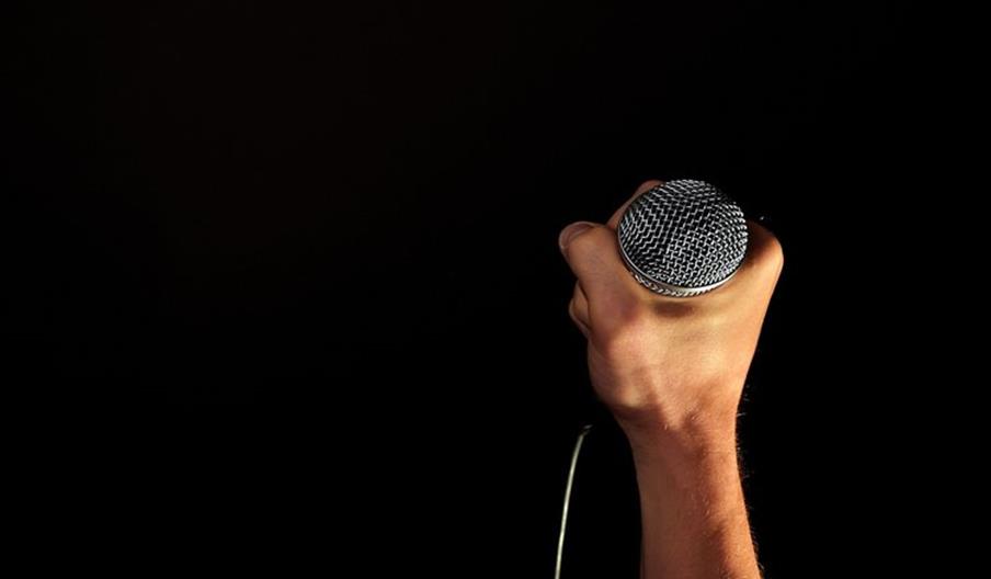 Hand holding a microphone