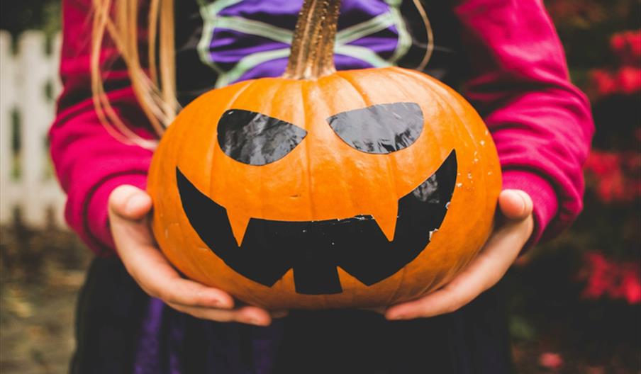 Girl in witch costume holding a smiling pumpkin