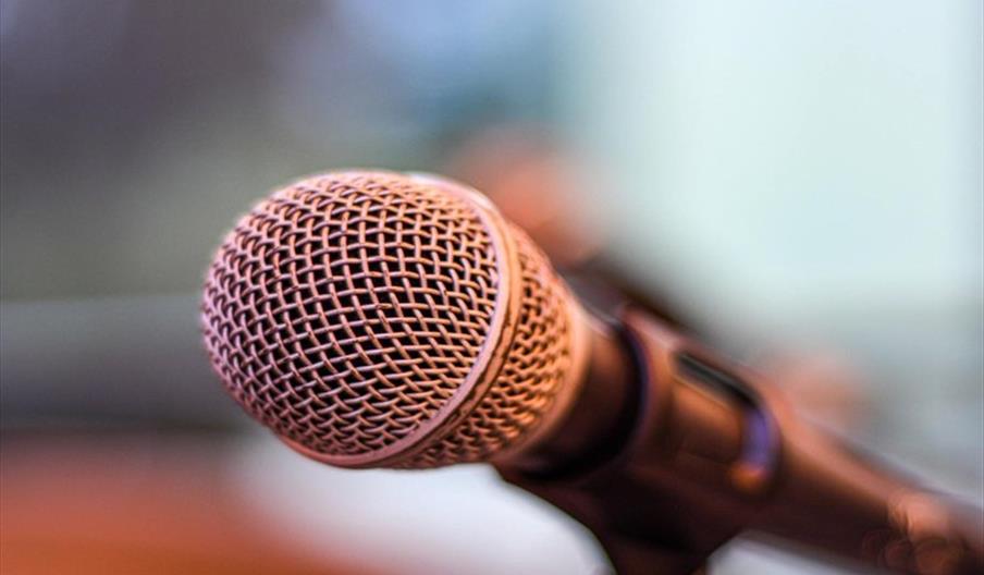 Microphone in a microphone stand
